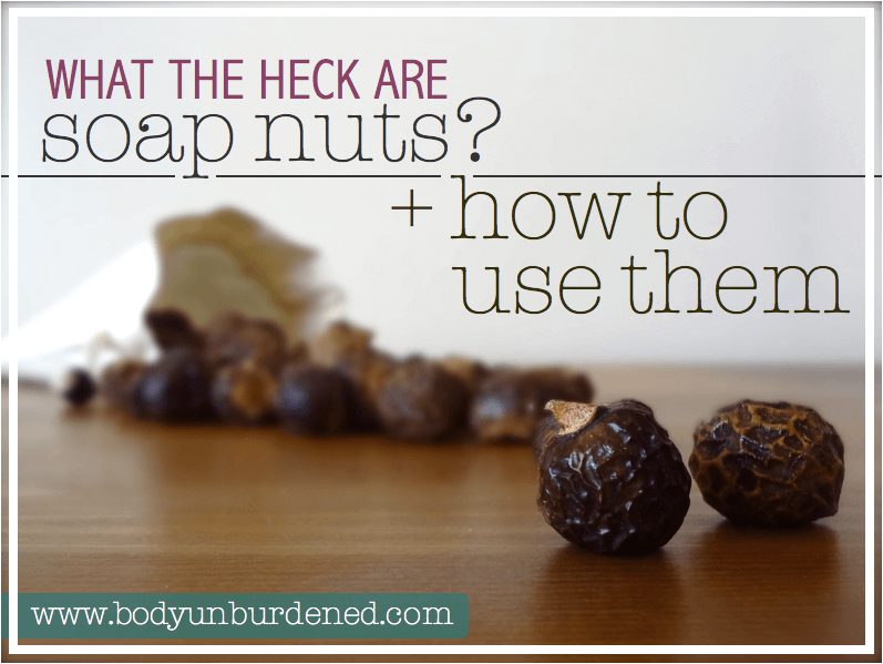 What Are Soap Nuts? + How To Use Them Body Unburdened