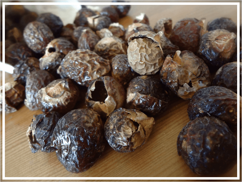 What Are Soap Nuts? + How To Use Them Body Unburdened